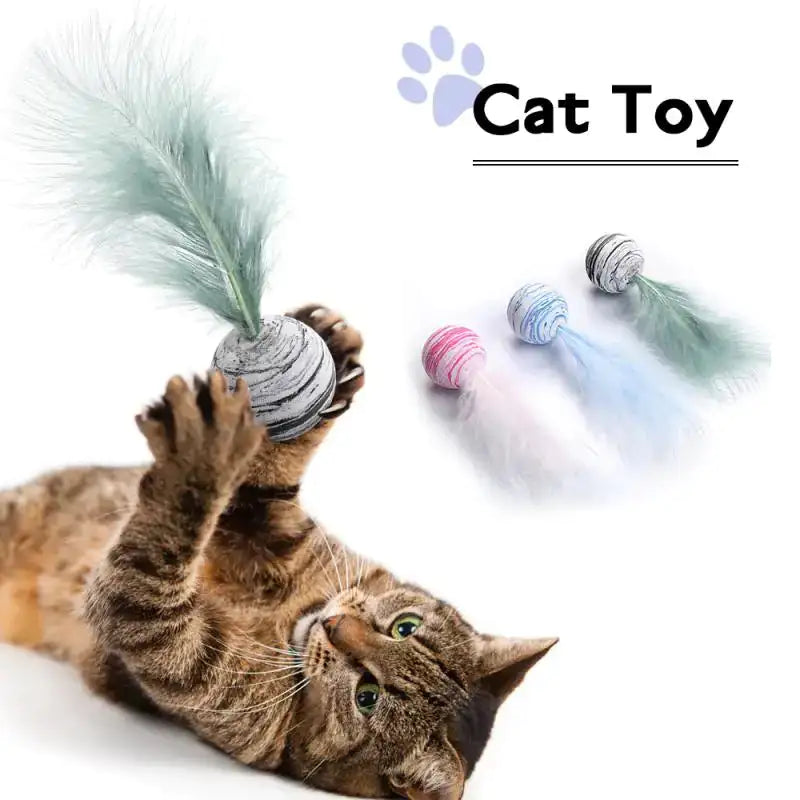 Cat Toy