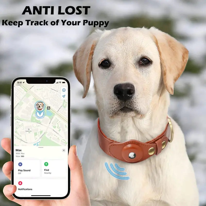Leather Anti-Lost