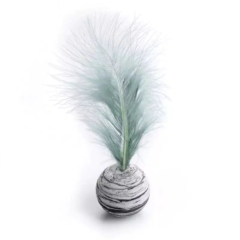 Cat Toy