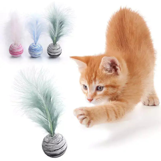 Cat Toy